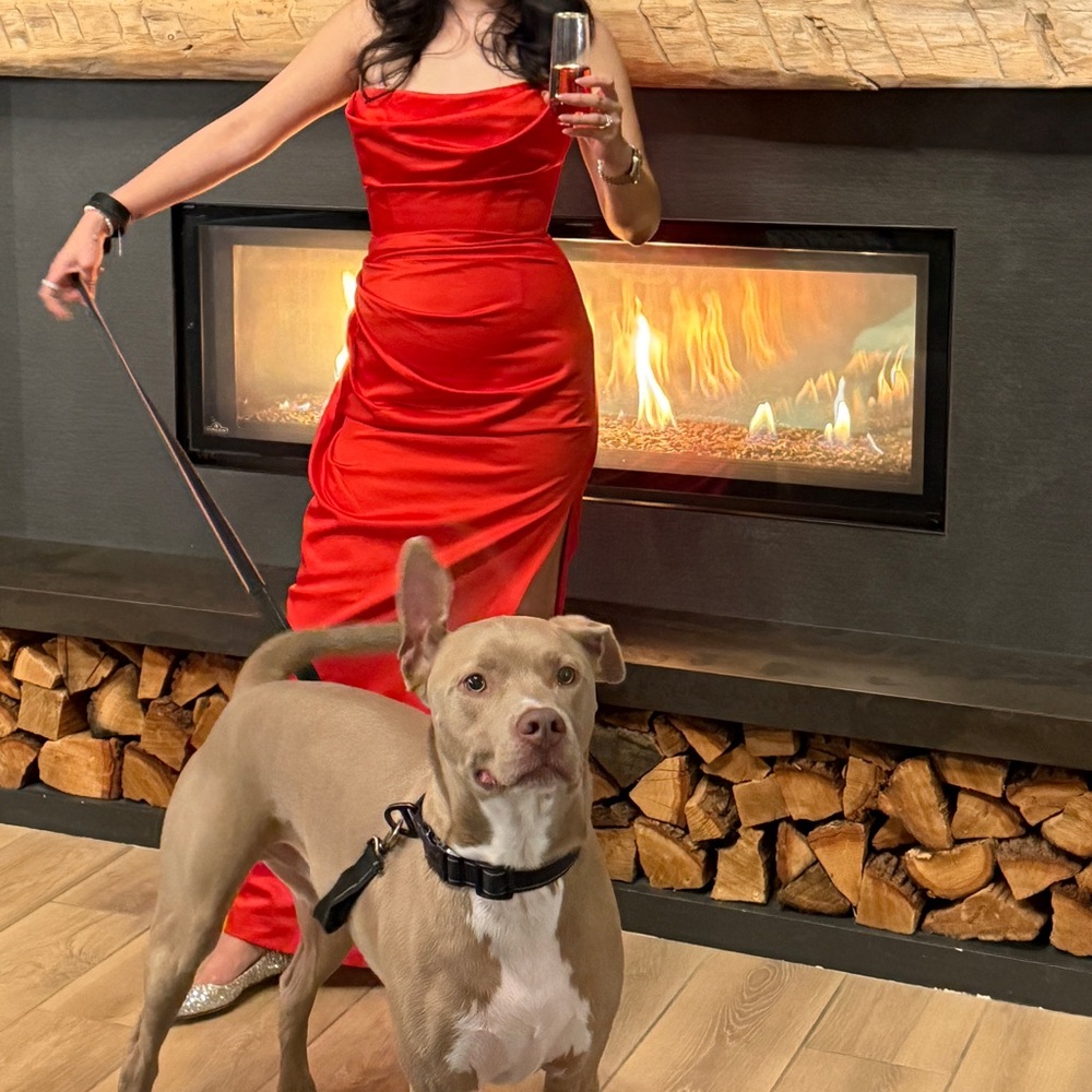 House of CB Adrienne